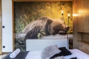 apartament Grizzly SPA Zakopane